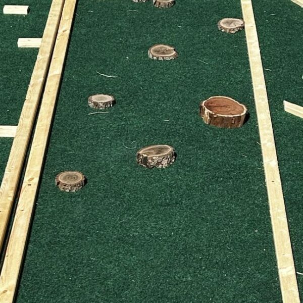 Mini Golf Putt‑Putt Course